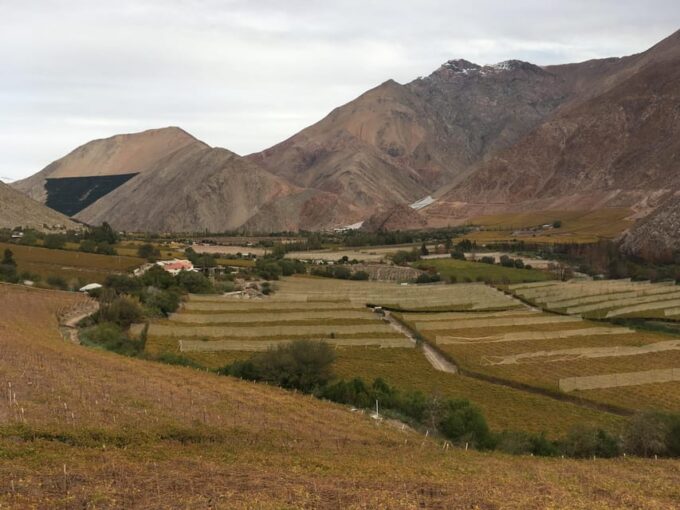 Wine Route Origins of Southamerican Wine and Pisco - Landscapes Inspiring Poetic Expressions