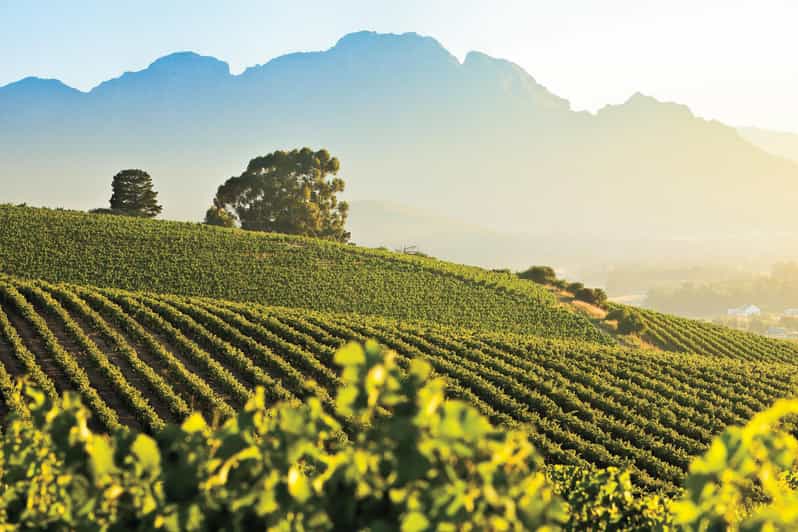 Wine Route Wanderer - Full Day Private Tour - Key Points