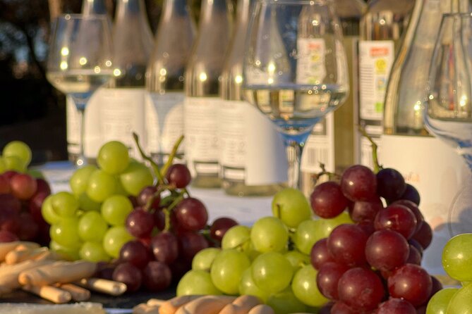 Wine Route With Tasting and Pairing in the La Mata Natural Park - Guided Tour by an Official Guide
