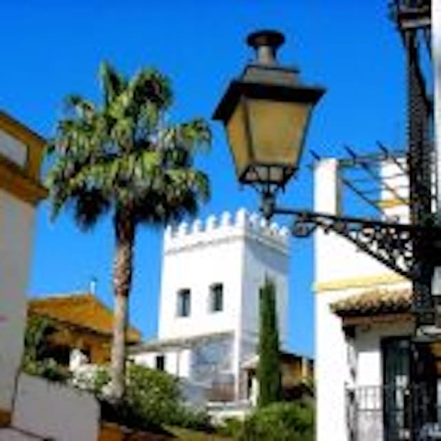 Wine & Sherry Day Tour From Seville - Key Points