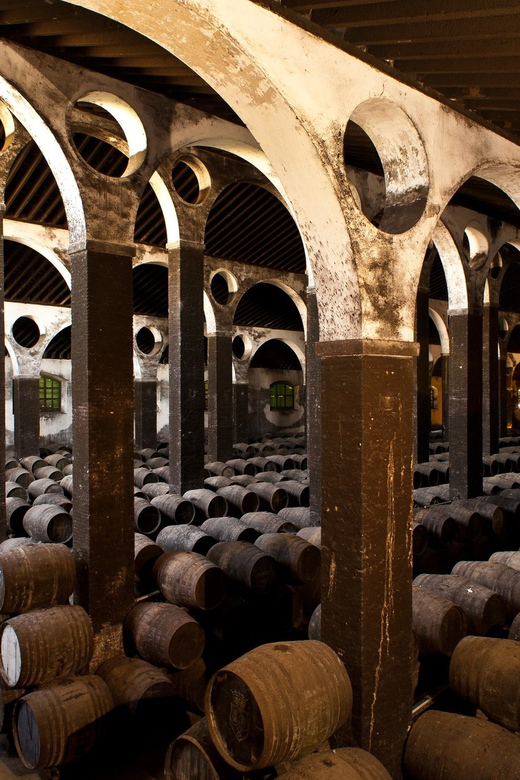 Wine & Sherry Day Tour From Seville - Explore Sanlúcar De Barrameda