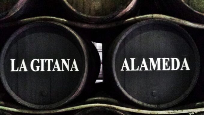 Wine & Sherry Day Tour From Seville - Customer Reviews and Feedback