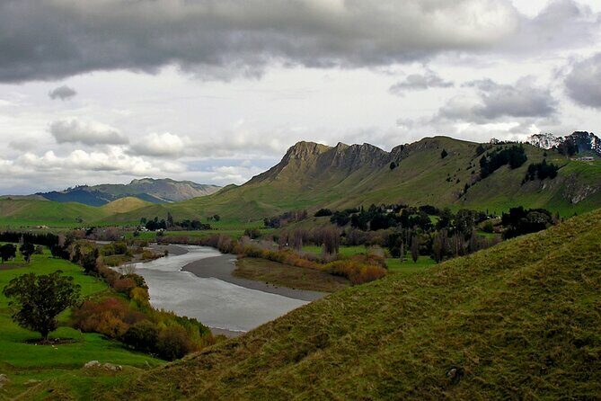 Wine & Sightseeing Cruise Tour 2.5hr | Award Winning Experience - Who Should Consider This Tour?