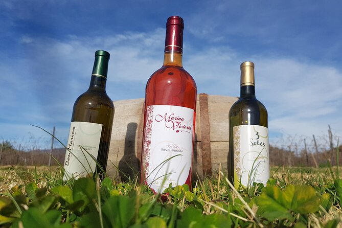 Wine, Singani & Cheese Tasting Tour - Half Day - Private Service - Participant Information