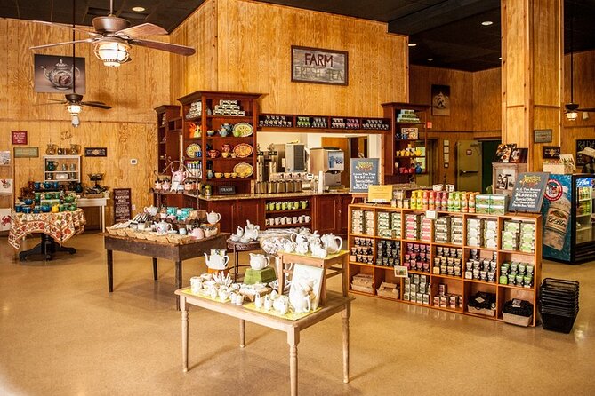 Wine Sippin, Tea Drinkin & Tree Huggin Tour: The Wadmalaw Adventure - Indulging in Tea Tasting
