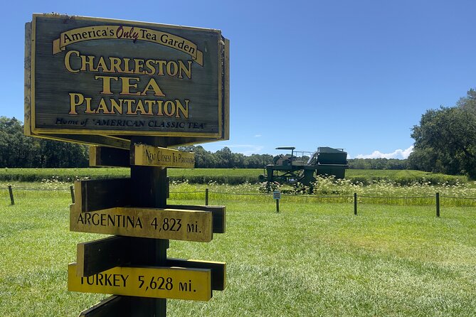 Wine Sippin, Tea Drinkin & Tree Huggin Tour: The Wadmalaw Adventure - Wine Tasting Experience