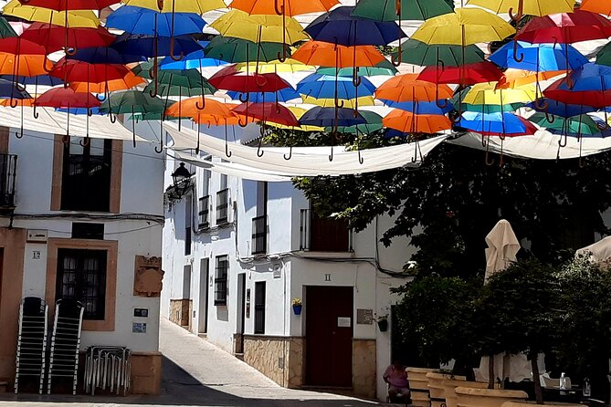 Wine & Tapas Tour by Electric Bike (E-Bike) Including Ronda Pickup (Full Day) - Food and Beverages