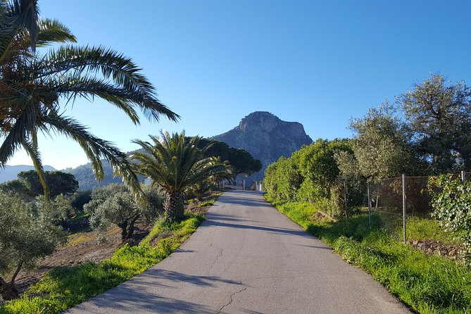 Wine & Tapas Tour by Electric Bike (E-Bike) Including Ronda Pickup (Full Day) - Booking and Pricing