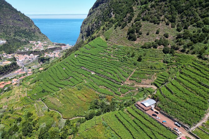 Wine Taste, 4x4 Jeep Adventure and Cabo Girão Skywalk - Quick Points