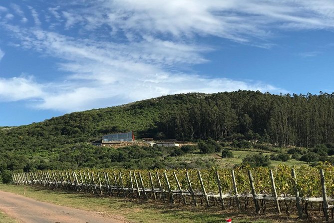 Wine Tasting - Overview of the Experience