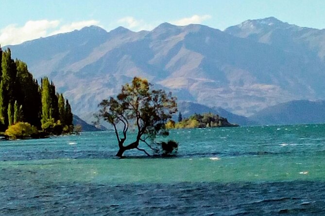 Wine Tasting Adventure Wanaka and Beyond - Meeting and Pickup