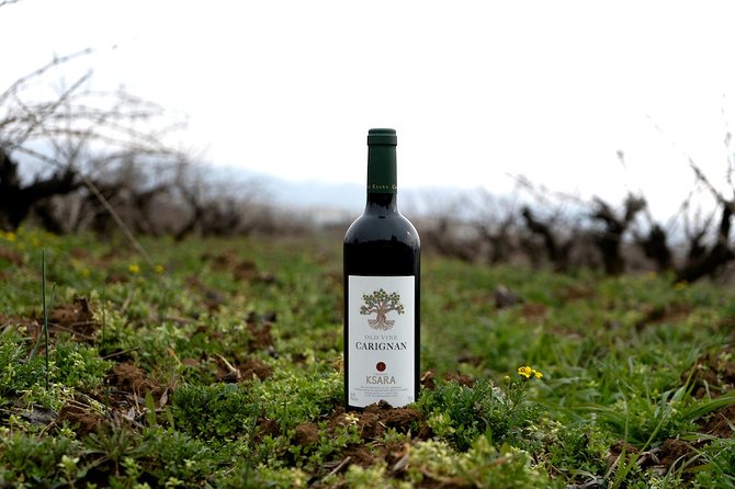Wine Tasting and Culture - Exploring Local Traditions