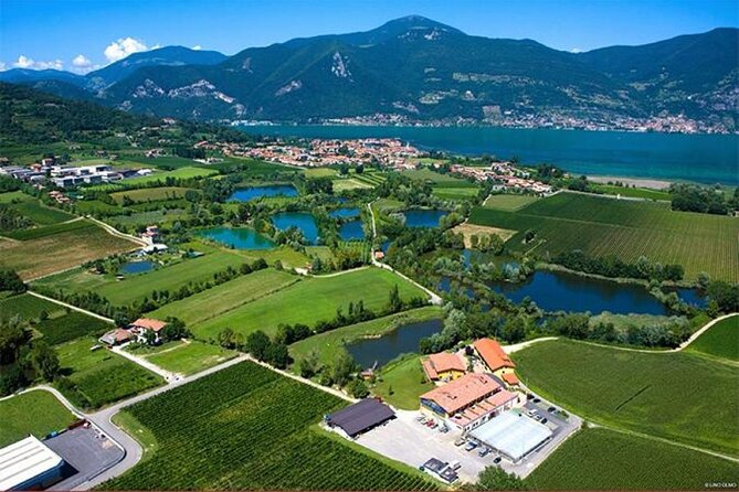Wine Tasting and Dinner/Lunch or Aperitivo in Franciacorta Winery - Dinner or Lunch Menu Highlights
