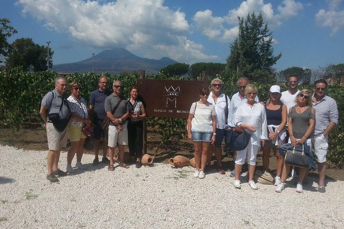 Wine Tasting and Excursion to the Mt. Vesuvius From Pompeii - Wine Tasting Lunch