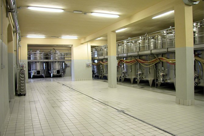 Wine Tasting and Guided Tour of the Cellar - Meeting and Pickup Details