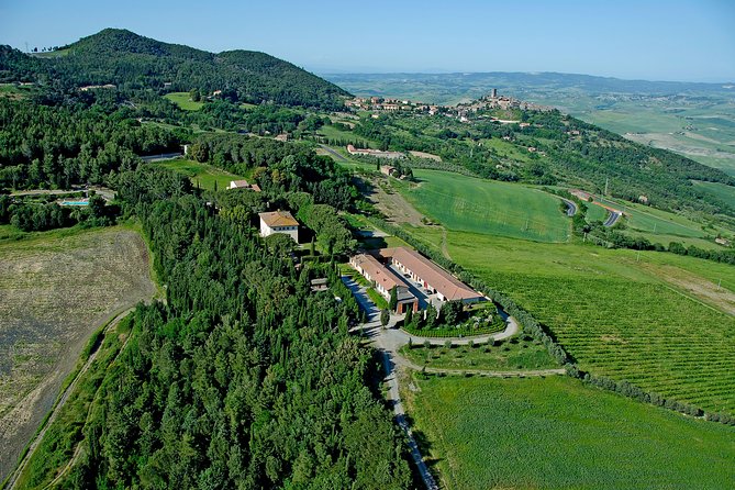 Wine Tasting and Guided Tour of the Cellar - Accessibility and Participation