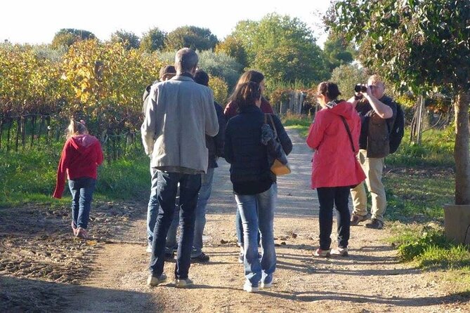 Wine Tasting and Guided Visit to the Vineyard and Cellar in S. Maria Imbaro - Overview of the Experience