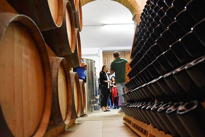 Wine Tasting and Guided Visit to the Vineyard and Cellar in S. Maria Imbaro - Meeting and Pickup Information