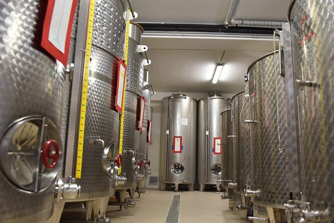 Wine Tasting and Guided Visit to the Vineyard and Cellar in S. Maria Imbaro - Accessibility and Participation