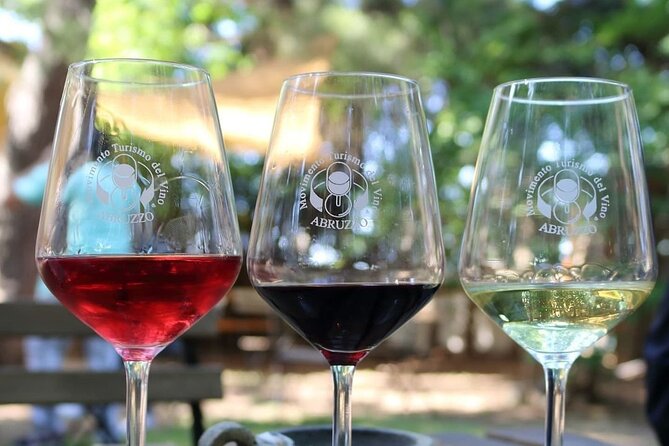Wine Tasting and Guided Visit to the Vineyard and Cellar in S. Maria Imbaro - Booking Information