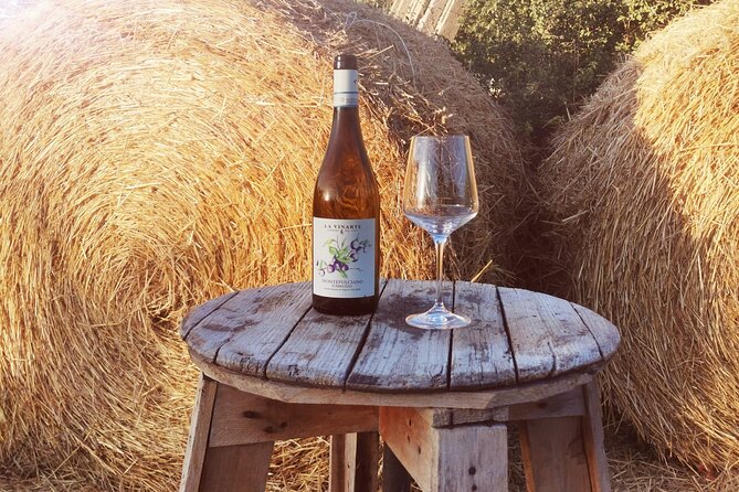 Wine Tasting and Guided Visit to the Vineyard and Cellar in S. Maria Imbaro - The Wine Tasting Experience