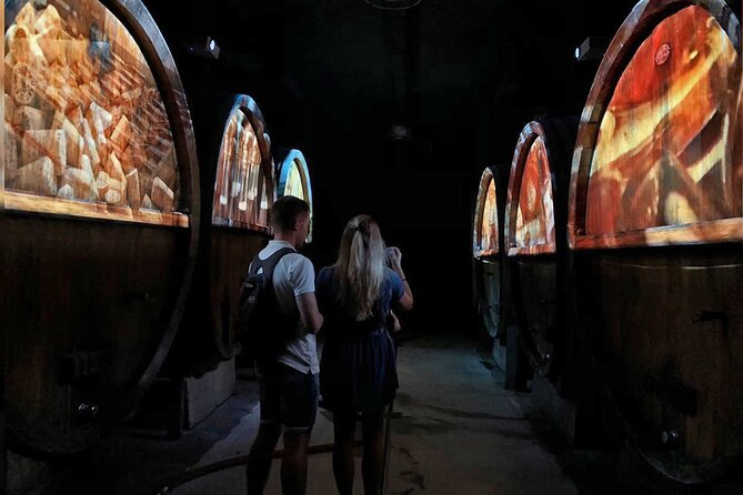 Wine Tasting and Immersive Cellar Tour - Tour Details and Inclusions