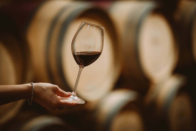 Wine Tasting and Italian Cooking Class in Tuscany - Local Wines, Olive Oils, and Vinegars