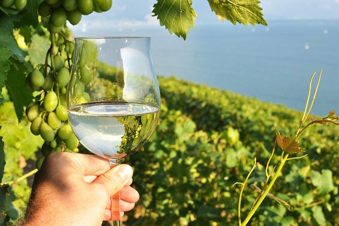 Wine Tasting and lavender Farm Tours - Key Points