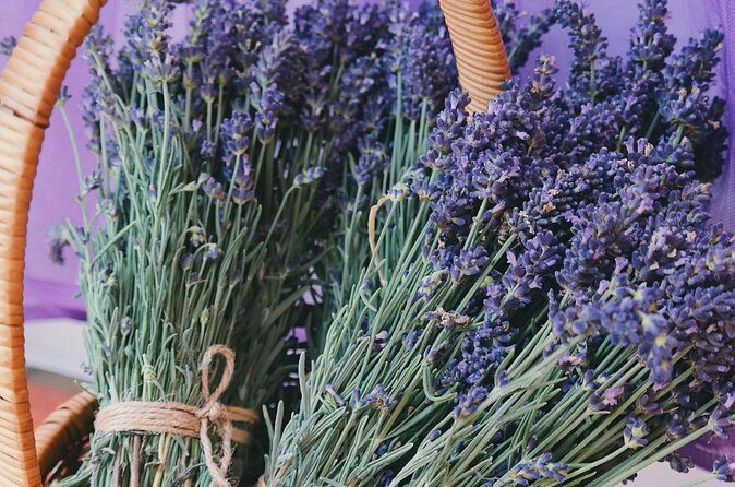Wine Tasting and lavender Farm Tours - Final Thoughts