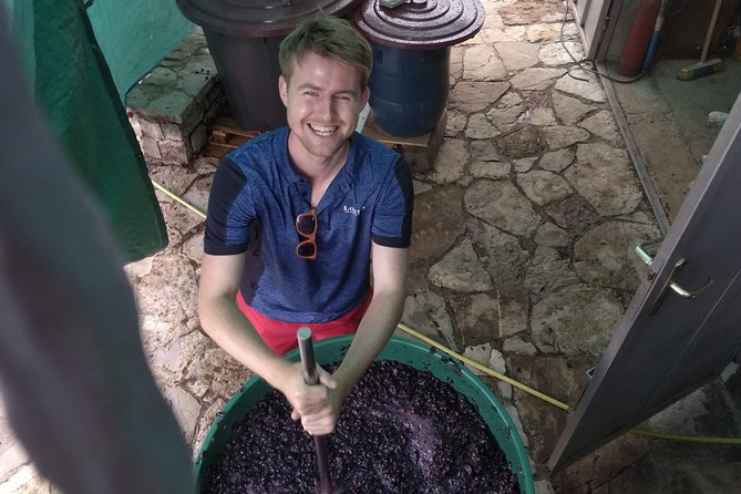 Wine Tasting and Magical Tour From Kotor, Budva, Tivat (Lovcen,Skadar Lake) - Accessibility and Accommodations