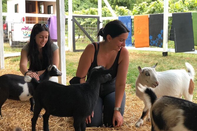 Wine Tasting and Nigerian Dwarf Goats Experience - Exploring the Nigerian Dwarf Goats