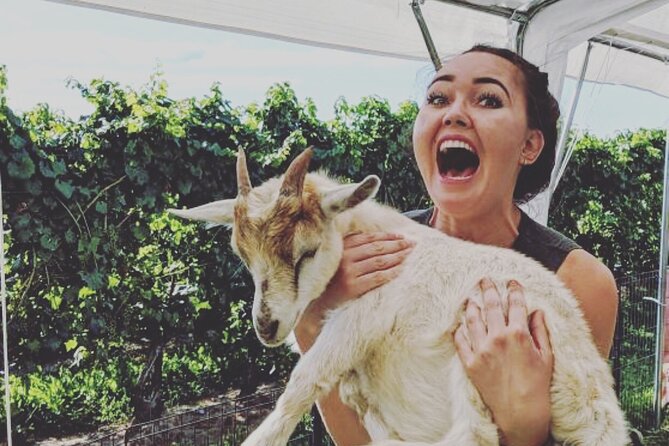 Wine Tasting and Nigerian Dwarf Goats Experience - Alcoholic Beverages Served