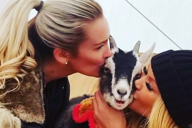 Wine Tasting and Nigerian Dwarf Goats Experience - Booking Information and Policies