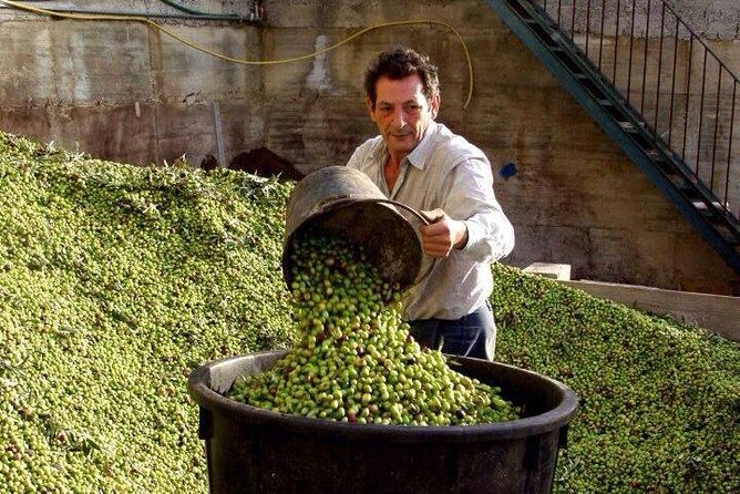 Wine Tasting and Olive Oil in Tirana Surroundings - Inclusions and Highlights