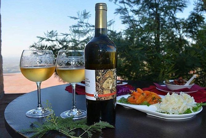 Wine Tasting and Olive Oil in Tirana Surroundings - Vineyard and Olive Farm Visits