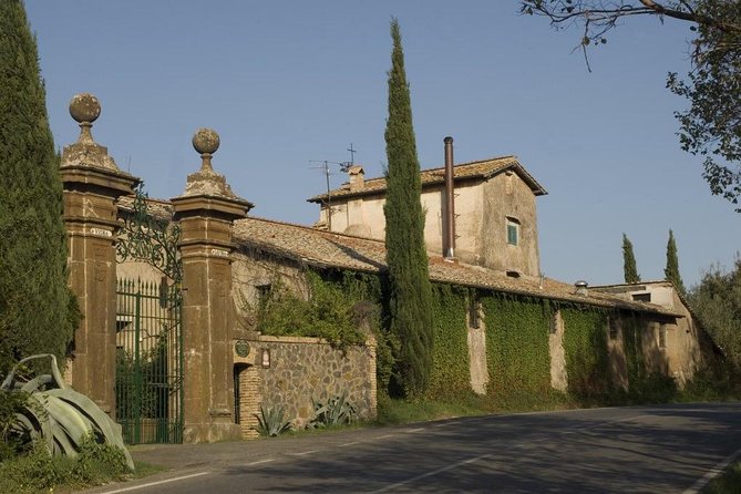Wine Tasting and Pasta Making Class With Lunch From Rome - Accessibility Features