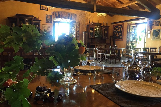 Wine Tasting and Pasta Making Class With Lunch From Rome - About the Tour Operator