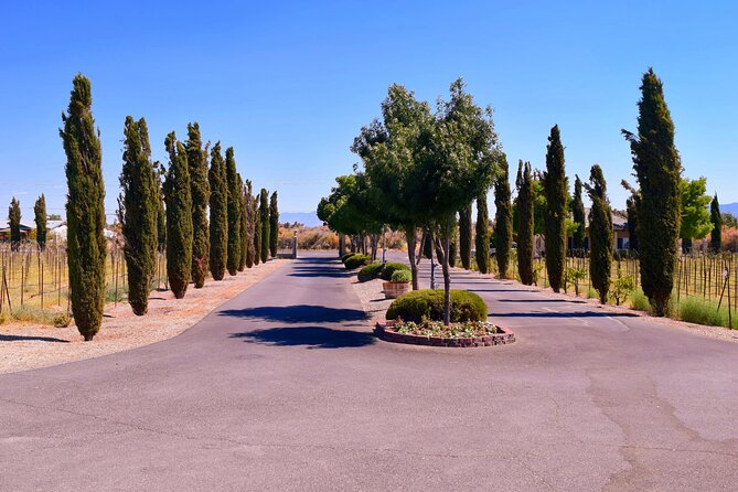 Wine Tasting and Snacks From Las Vegas - Key Points