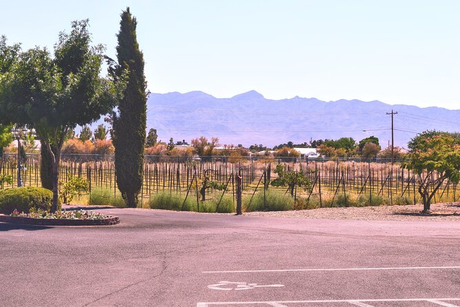 Wine Tasting and Snacks From Las Vegas - Experiencing the Local Wineries