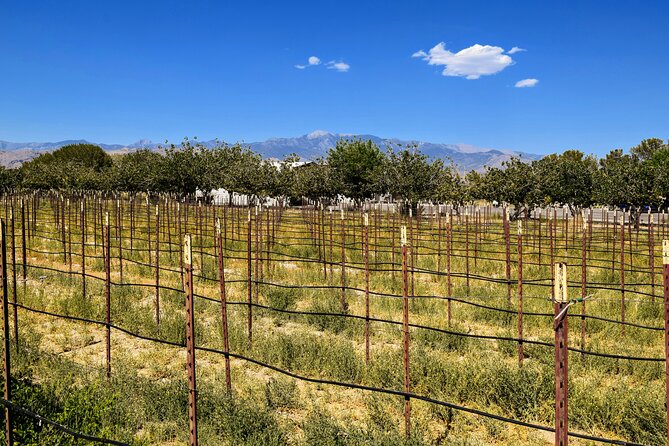 Wine Tasting and Snacks From Las Vegas - Indulging in the Charcuterie Board