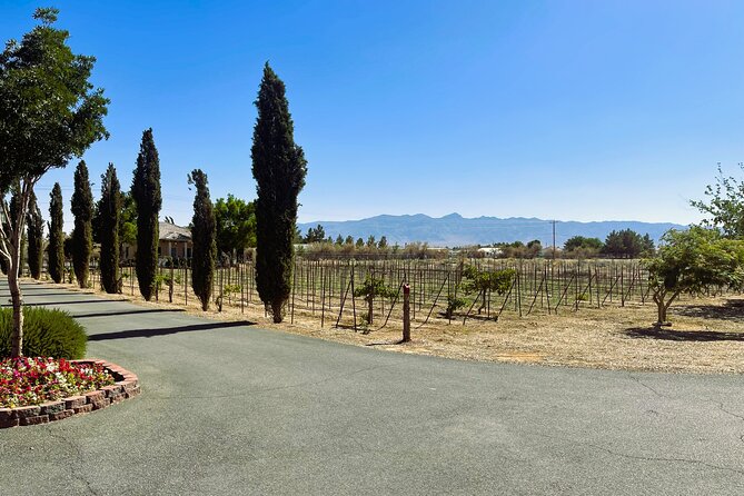 Wine Tasting and Snacks From Las Vegas - Exploring the Scenic Drive