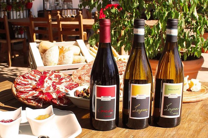 Wine Tasting and Tour of Lugana Wines in Sirmione - Meeting Point and Logistics