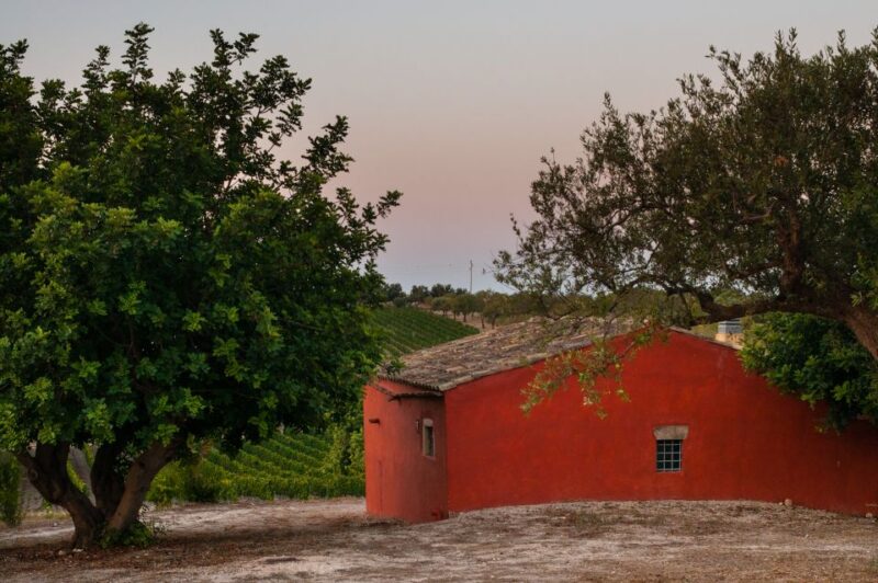 Wine Tasting and Typical Tastings in the Val Di Noto - Experience Highlights