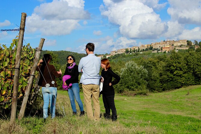 Wine Tasting and Visit to the Vineyard and Cellar in Trequanda - Tasting the Wines