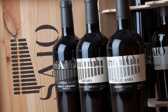 Wine Tasting and Walk in the Vineyard of Assisi - Scenic Viewpoint
