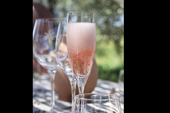 Wine Tasting and Winery Tour - Accessibility and Logistics