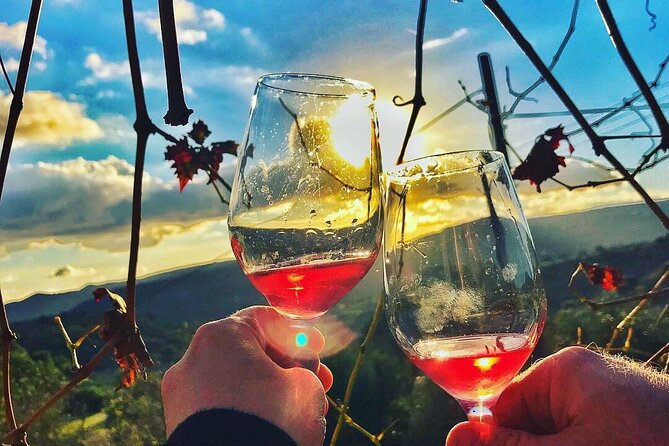 Wine Tasting and Winery Tour in Lemona Village, Paphos - Wines Offered for Tasting