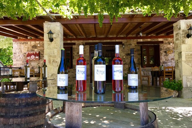 Wine Tasting and Winery Tour in Lemona Village, Paphos - Vineyard Visit and Tour