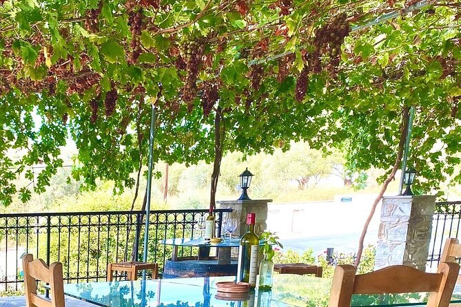 Wine Tasting and Winery Tour in Lemona Village, Paphos - Accessibility and Amenities