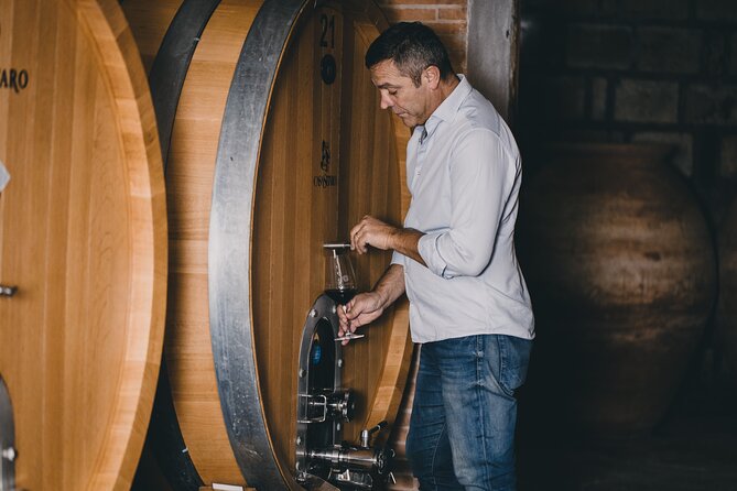 Wine Tasting and Winery Tour in Vesuvio National Park With Lunch - Key Points